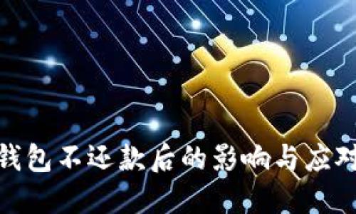 数字钱包不还款后的影响与应对策略