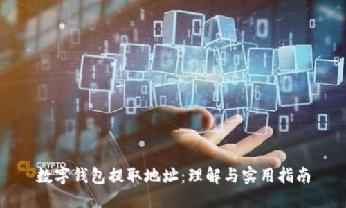 数字钱包提取地址：理解与实用指南