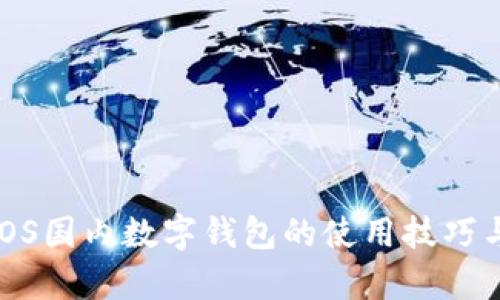 全面解析iOS国内数字钱包的使用技巧与实用价值