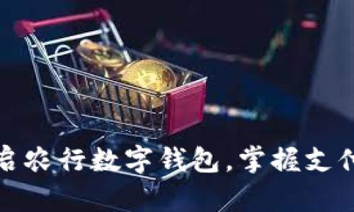 轻松开启农行数字钱包,掌握支付新潮流