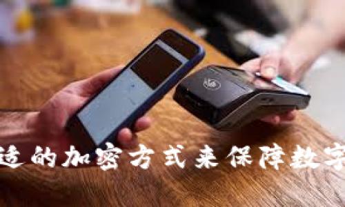 如何选择合适的加密方式来保障数字钱包的安全