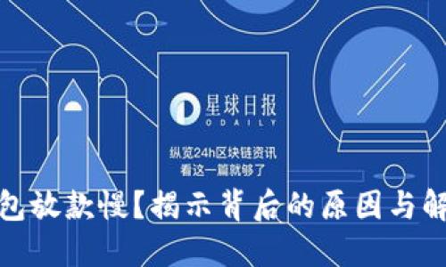 数字钱包放款慢？揭示背后的原因与解决方案