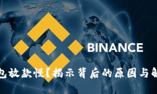 数字钱包放款慢？揭示背后的原因与解决方案
