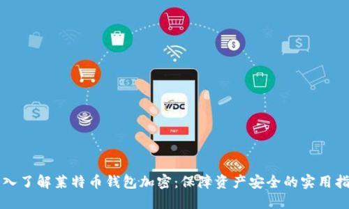 深入了解莱特币钱包加密：保障资产安全的实用指南