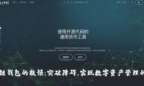 区块链钱包的瓶颈：突破障碍，实现数字资产管理的未来