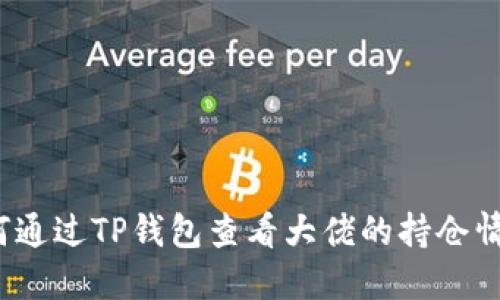 如何通过TP钱包查看大佬的持仓情况?
