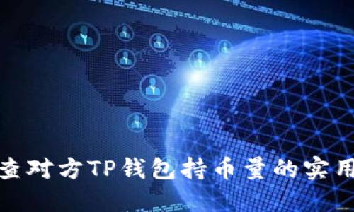轻松查对方TP钱包持币量的实用攻略