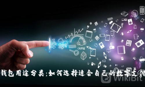 数字钱包用途分类：如何选择适合自己的数字支付工具