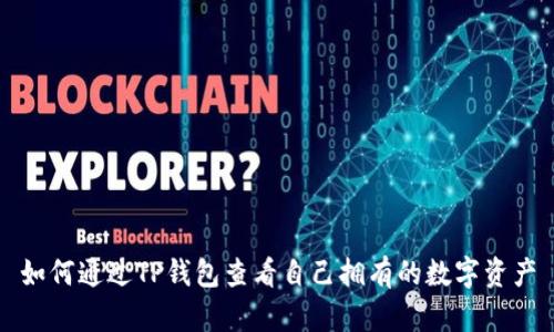 如何通过TP钱包查看自己拥有的数字资产