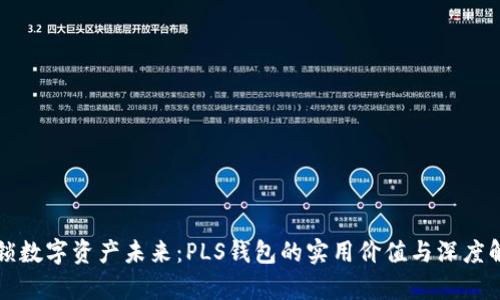 解锁数字资产未来：PLS钱包的实用价值与深度解析