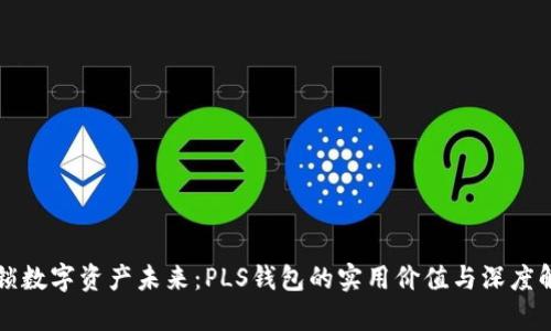 解锁数字资产未来：PLS钱包的实用价值与深度解析