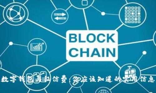 数字钱包与征信费:你应该知道的实用信息