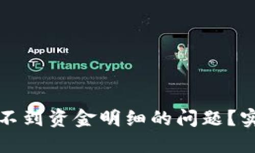 如何解决TP钱包看不到资金明细的问题？实用指南与解决方案