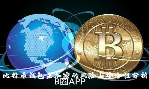比特币钱包未加密的风险与安全性分析
