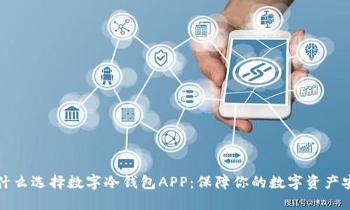 为什么选择数字冷钱包APP:保障你的数字资产安全