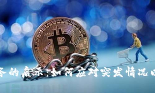 数字钱包暂停服务的启示:如何应对突发情况以保护我们的资产