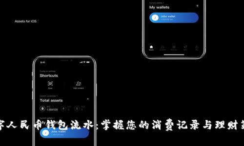 数字人民币钱包流水:掌握您的消费记录与理财策略