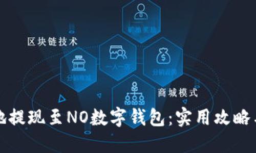 如何安全高效地提现至NO数字钱包：实用攻略与个人经验分享