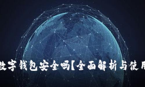 建行数字钱包安全吗？全面解析与使用技巧