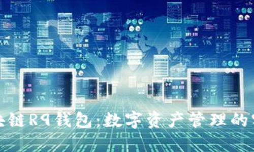 探索区块链R9钱包:数字资产管理的实用方案