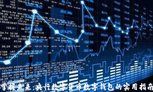 掌握未来:央行数字货币数字钱包的实用指南