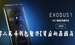 为何数字人民币钱包暂停？背后的原因与未来展