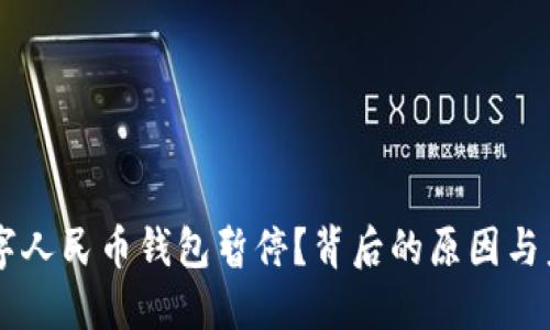 为何数字人民币钱包暂停？背后的原因与未来展望