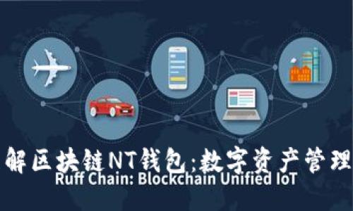 彻底理解区块链NT钱包：数字资产管理的未来