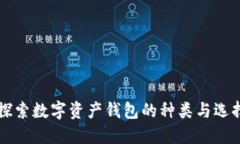 深入探索数字资产钱包的种类与选择指南