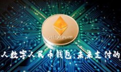 全面解析个人数字人民币钱包：未来支付的革命