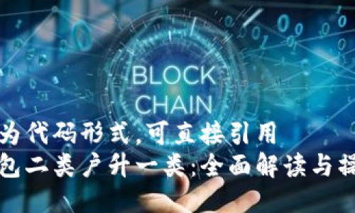 被包装为代码形式，可直接引用
数字钱包二类户升一类：全面解读与操作指南